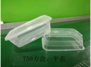廣州750方盒、平蓋-長沙注塑廠