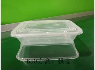 廣州650方盒、拱蓋-長沙注塑廠